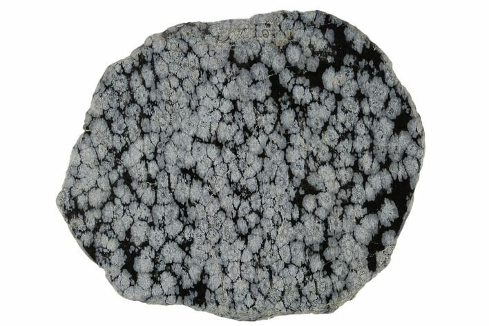 Polished Snowflake Obsidian Section - Utah #117766